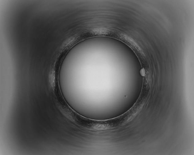 X0000100320494200806051520