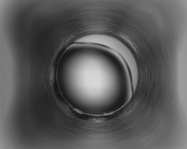 X0000100320495200806051520