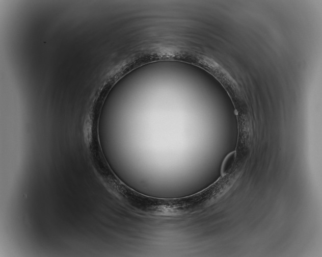 X0000100320496200806051520