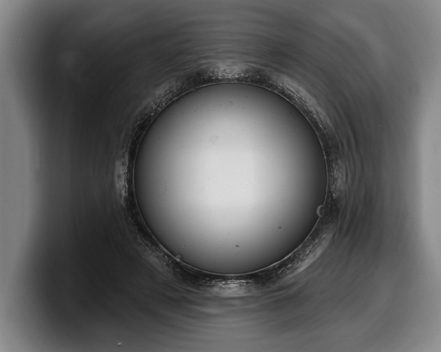 X0000100320497200806051520