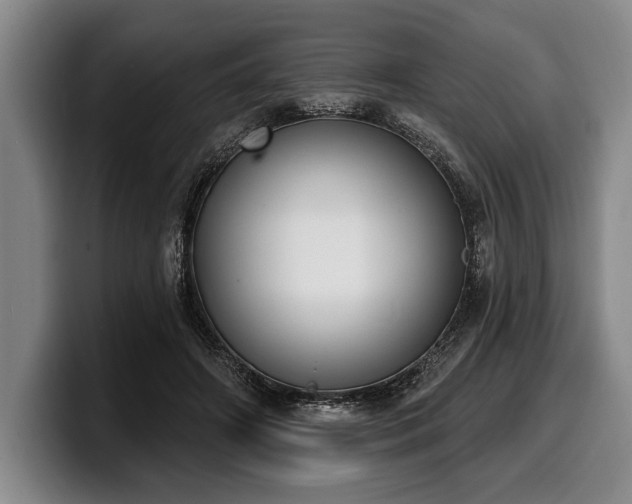 X0000100320498200806051520