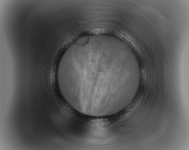 X0000100320499200806051520