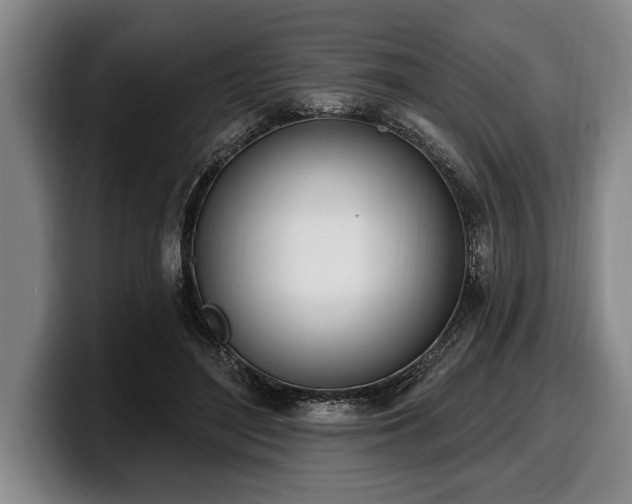 X0000100320500200806051520