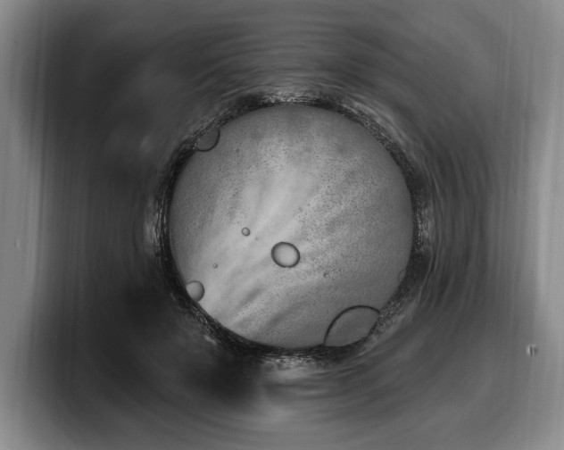 X0000100320503200806051520