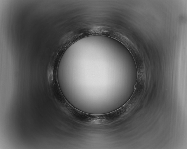 X0000100320504200806051520