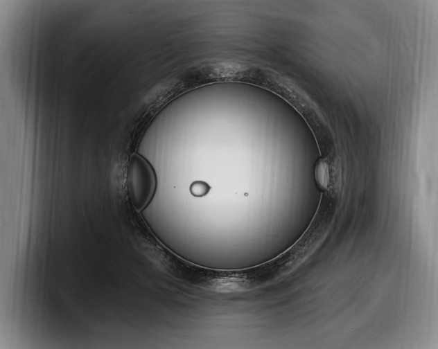 X0000100320505200806051520