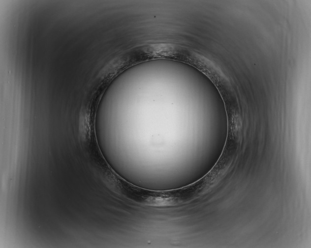 X0000100320506200806051520