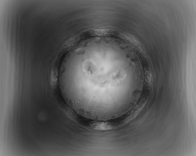 X0000100320507200806051520