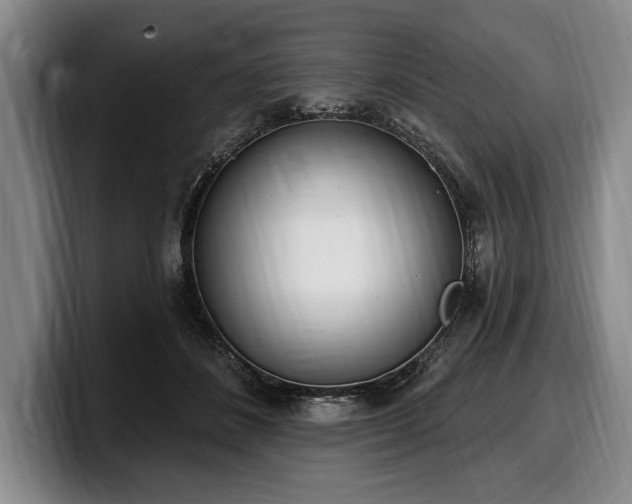 X0000100320508200806051520