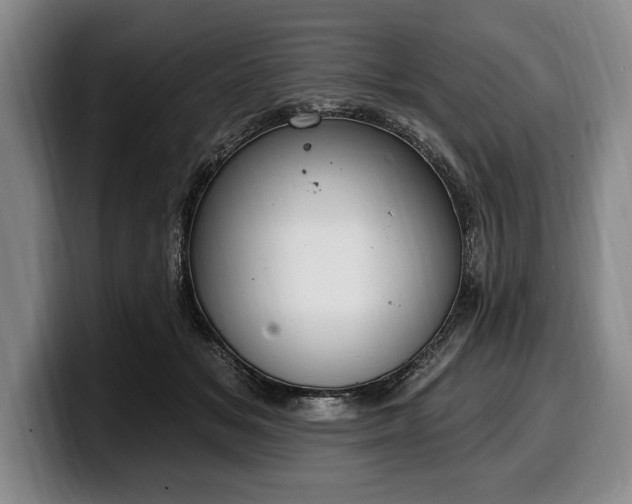 X0000100320509200806051520