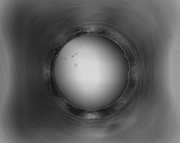 X0000100320510200806051520