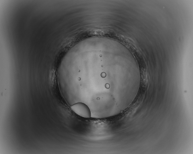 X0000100320511200806051520