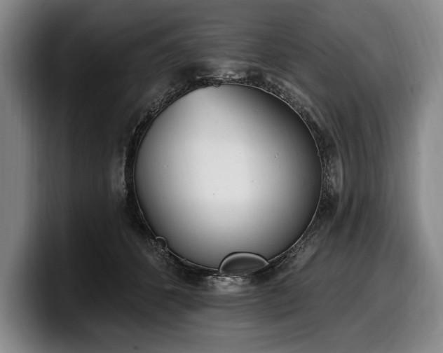 X0000100320512200806051520