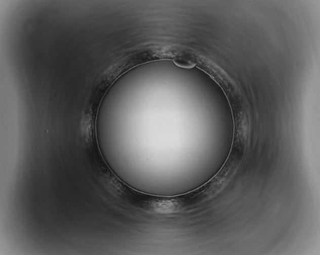 X0000100320513200806051520