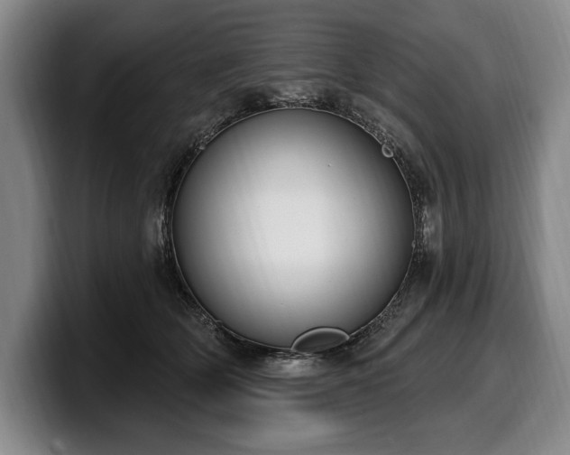 X0000100320514200806051520