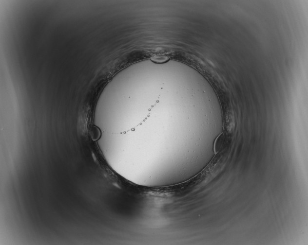 X0000100320515200806051520