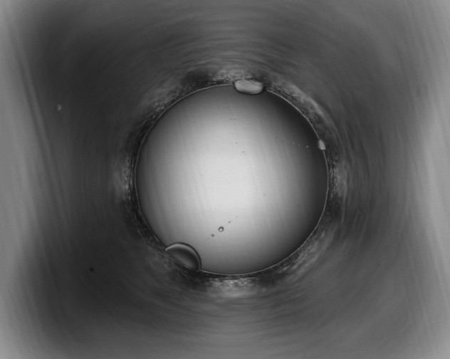 X0000100320517200806051520