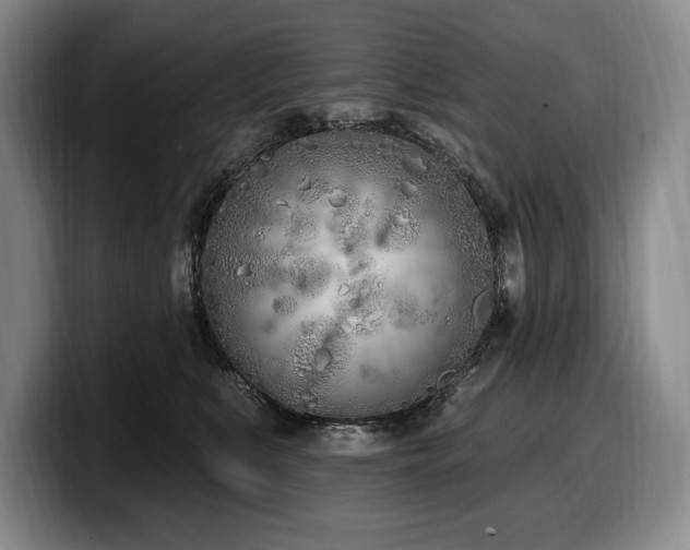 X0000100320519200806051520