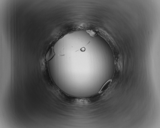 X0000100320520200806051520