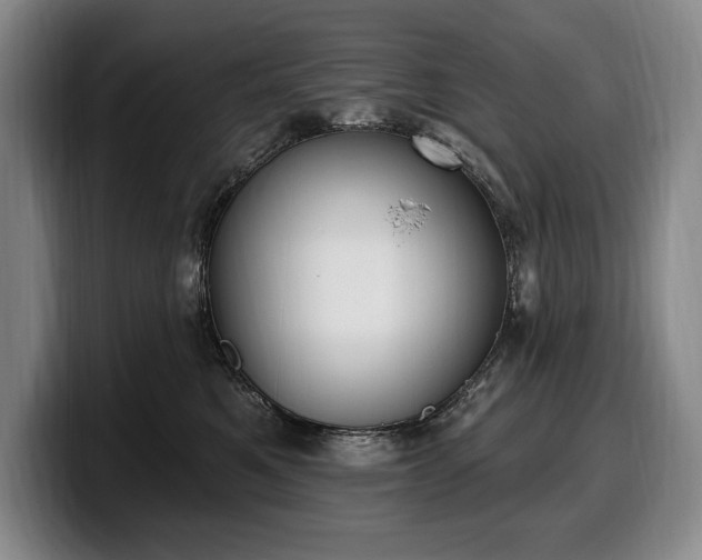 X0000100320521200806051520