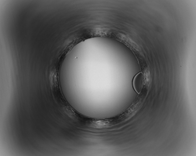 X0000100320522200806051520