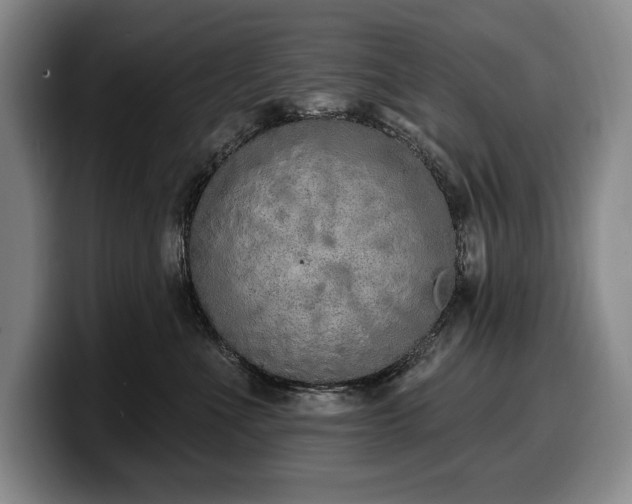 X0000100320523200806051520