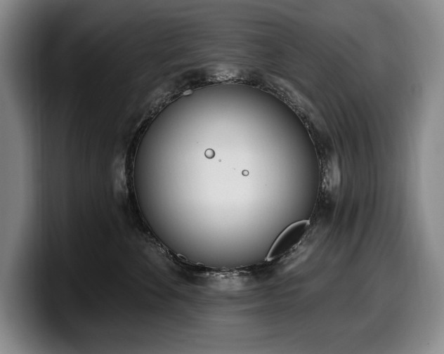 X0000100320524200806051519