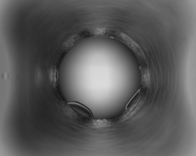 X0000100320525200806051519