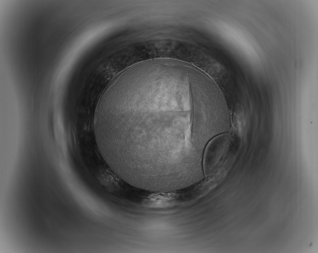 X0000100320526200806051519