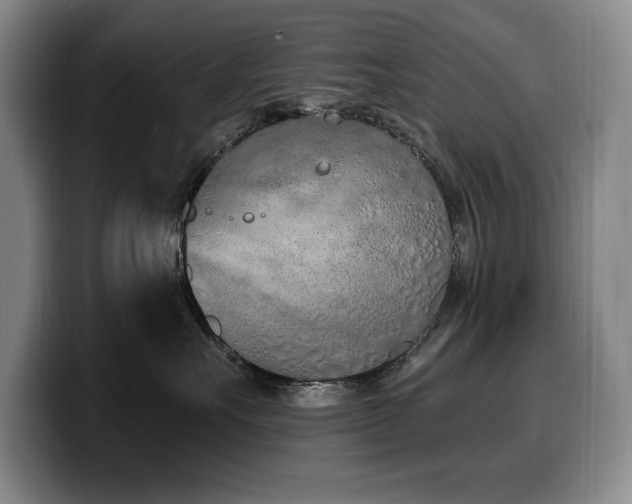 X0000100320527200806051519