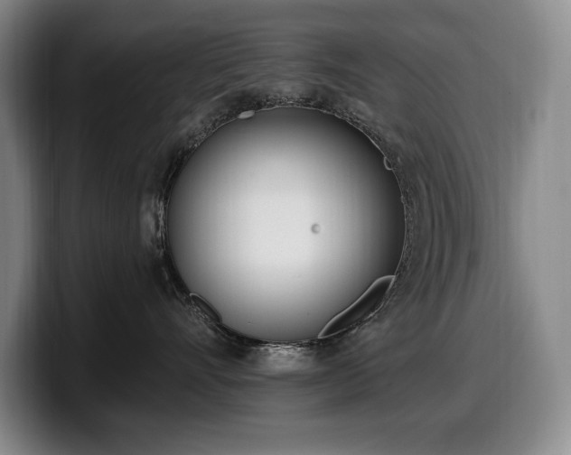 X0000100320528200806051519