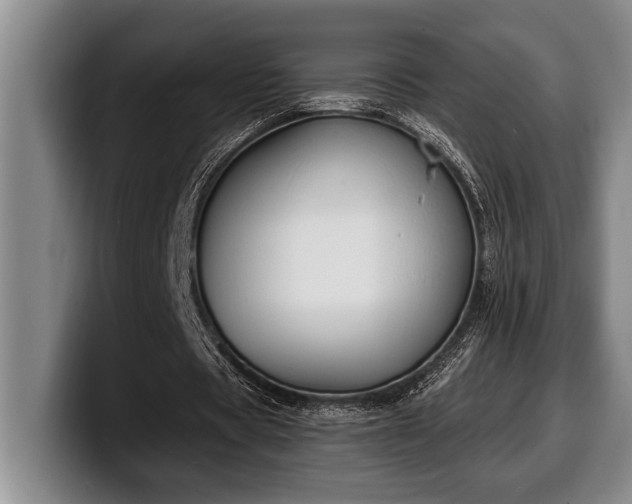 X0000100320529200806051519