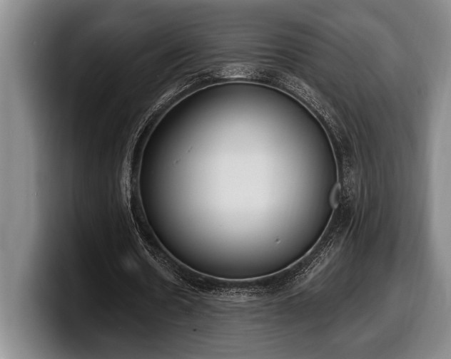 X0000100320530200806051519