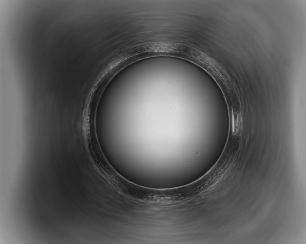 X0000100320531200806051519