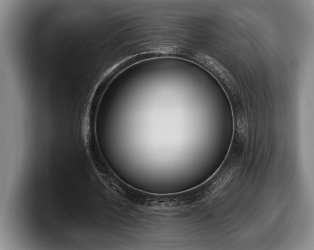 X0000100320532200806051519