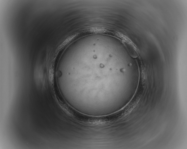 X0000100320533200806051519