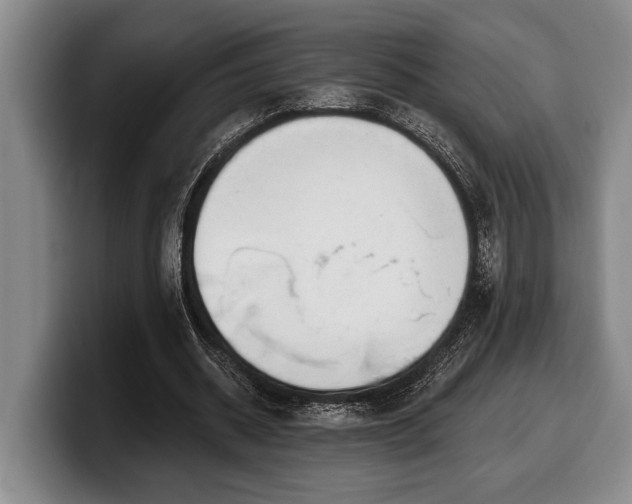 X0000100320534200806051519