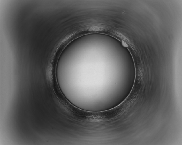 X0000100320535200806051519