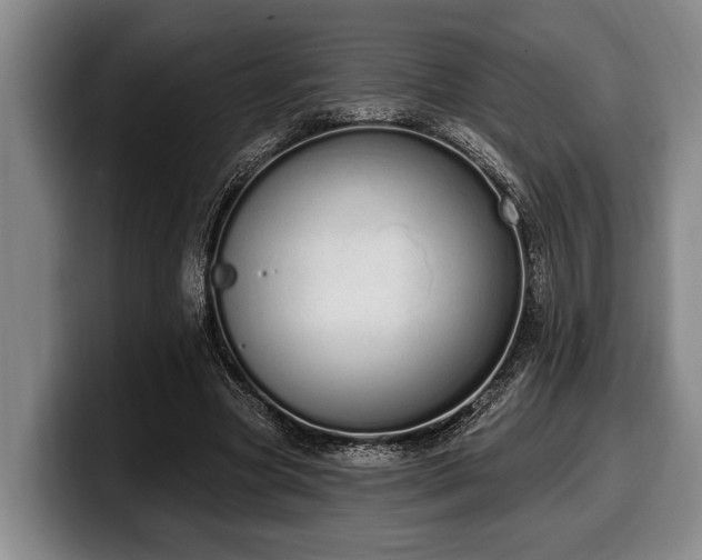 X0000100320537200806051519