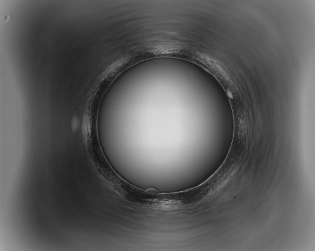 X0000100320539200806051519