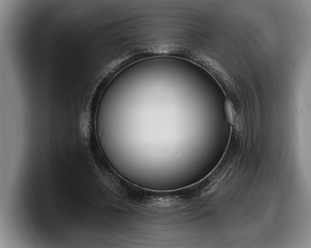 X0000100320540200806051519