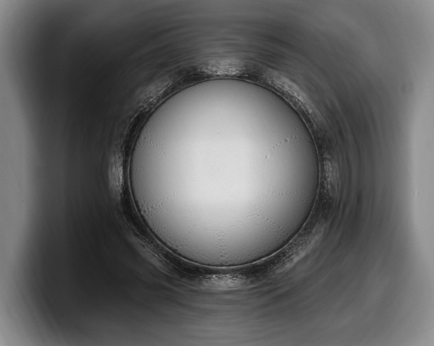 X0000100320541200806051519