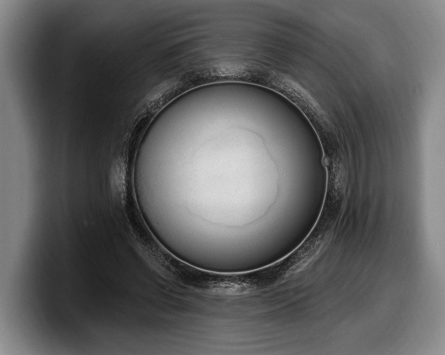 X0000100320542200806051519