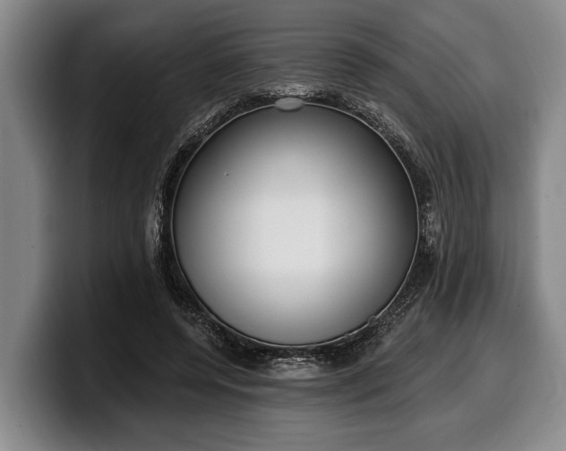 X0000100320544200806051519