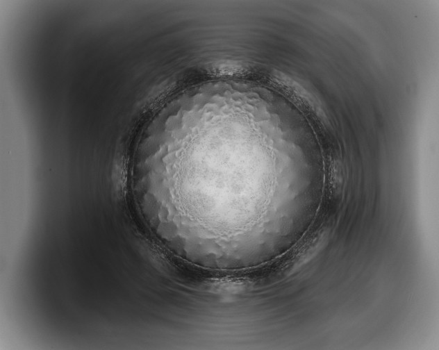 X0000100320545200806051519