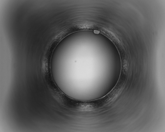 X0000100320547200806051519