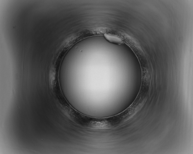 X0000100320548200806051519