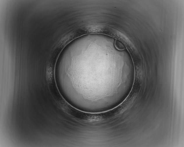 X0000100320549200806051519