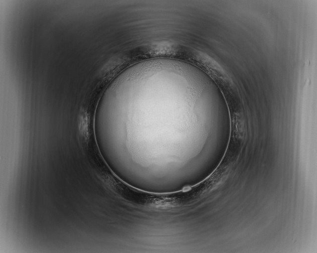 X0000100320550200806051519