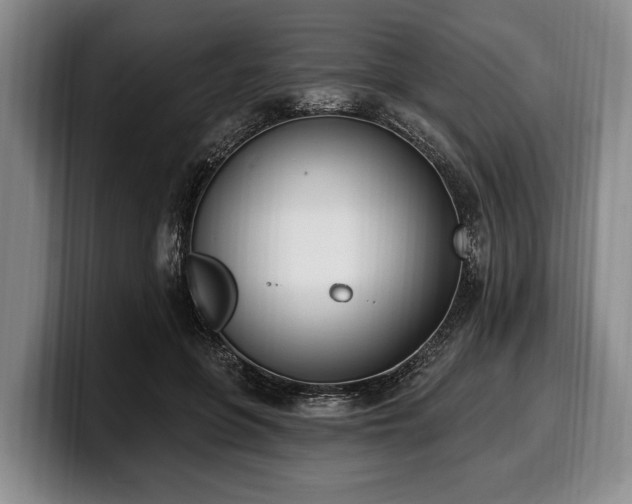 X0000100320551200806051519